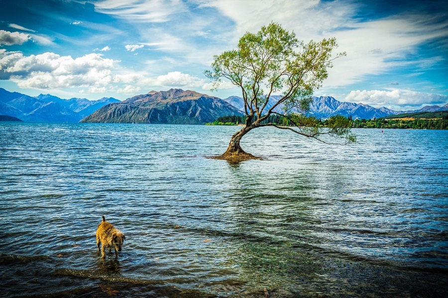 Lake Wanaka